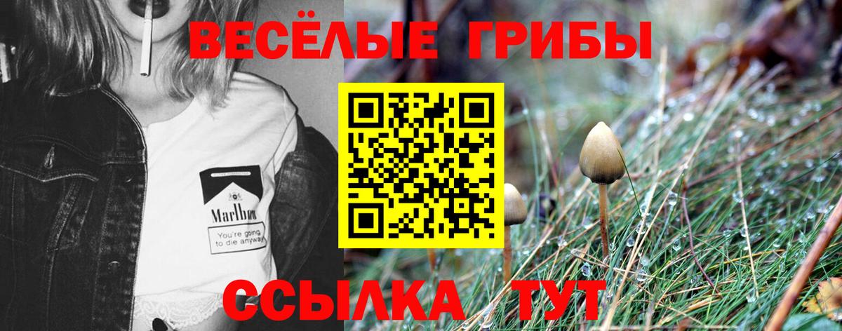 Алексеевка  Псилоцибиновые грибы Magic Shrooms  Вход с VPN 