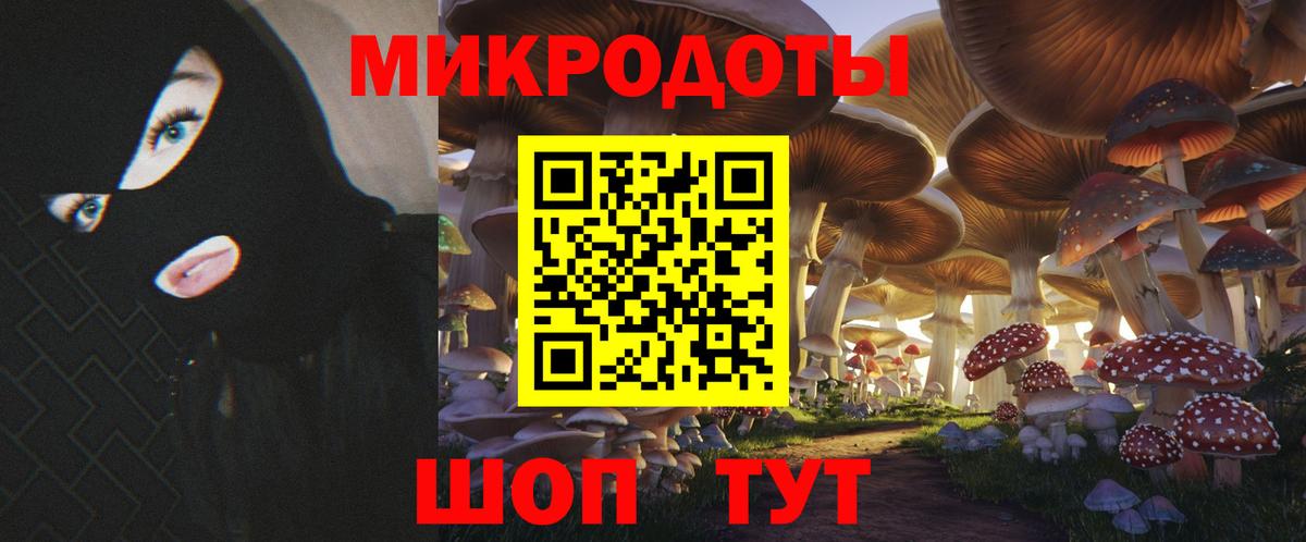 Псилоцибиновые грибы мицелий Алексеевка